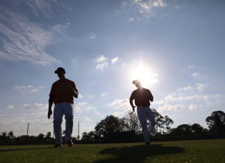 Francisco Pena Clears Waivers Courtesy Orioles