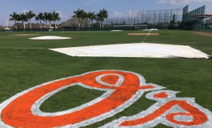 Orioles Spring Training