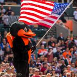 bird.AmericanFlag