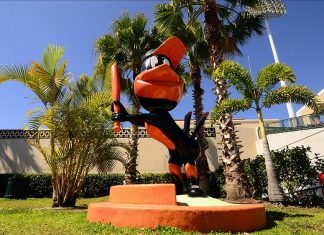 Spring Training Begins