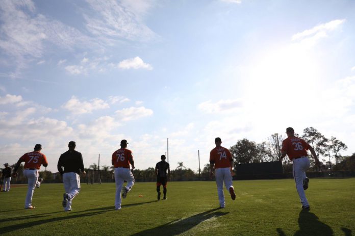 minor league camp roster