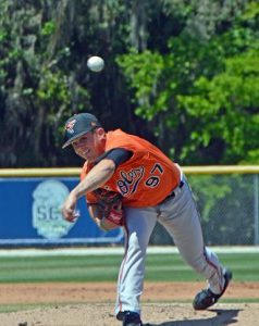 Delmarva Shorebirds
