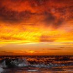 Sarasota
