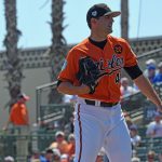 Bleier