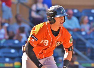 Orioles Organization Sim stats after 40 games