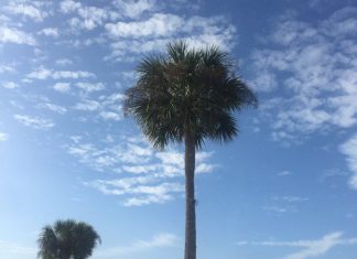 Pitchers & Catchers Report February 11