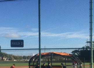 2/18 Spring Training Notebook