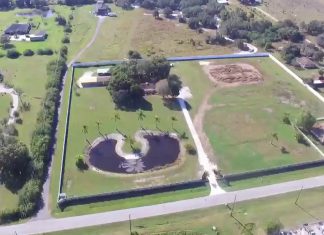 Spring Training Notebook 2/24