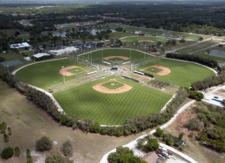 Orioles Minor League Player Profiles