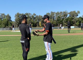 3/4 Spring Training Notebook