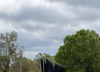 3/6 Sarasota Notebook