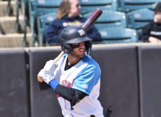 MINOR LEAGUE GAME SUMMARIES FOR 4/23/2022