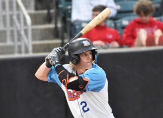 MINOR LEAGUE GAME SUMMARIES FOR 4/29/2022