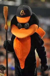 birdsweep