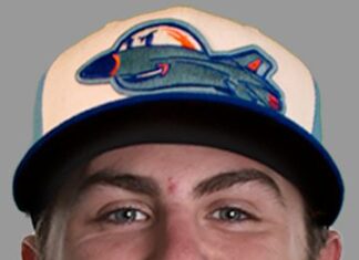 MINOR LEAGUE GAME SUMMARY FOR 4/01/2025