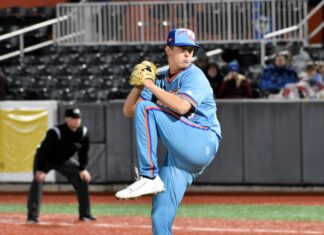 MINOR LEAGUE GAME SUMMARIES FOR 4/12/2025 Taken by Patrick Cavey