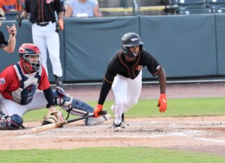 Taken by Patrick Cavey