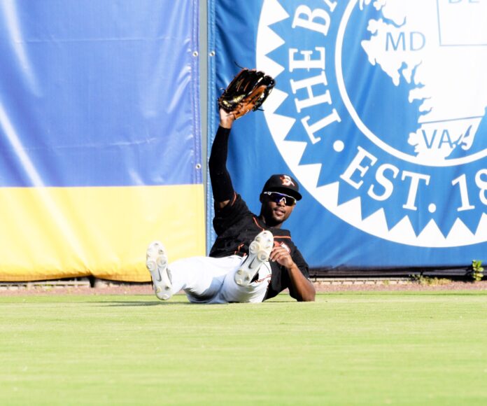 Taken by Patrick Cavey