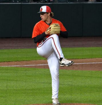 MINOR LEAGUE GAME SUMMARIES FOR 7/29/2026