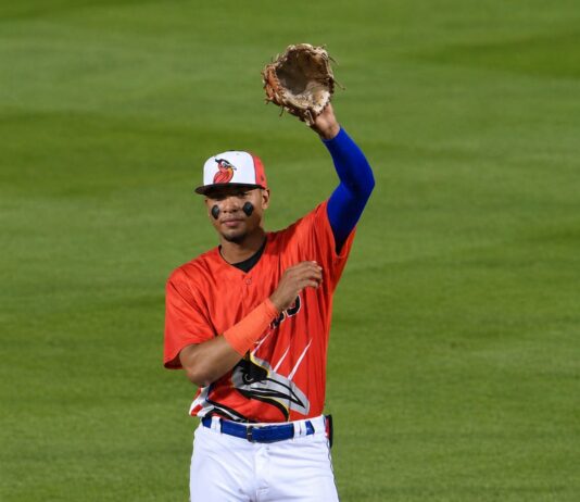 MINOR LEAGUE GAME SUMMARIES FOR 6/18/2026