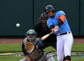 MINOR LEAGUE GAME SUMMARIES FOR 5/24/2026
