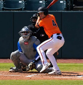 MINOR LEAGUE GAME SUMMARIES FOR 7/30/2026