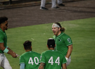 MINOR LEAGUE GAME SUMMARIES FOR 5/30/2026