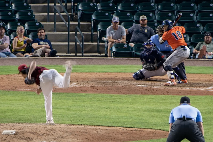 Miguel Rodriguez Shorebirds
